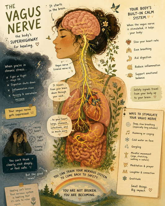 The Vagus Nerve Obsession: Legit Science or the New Crystal?